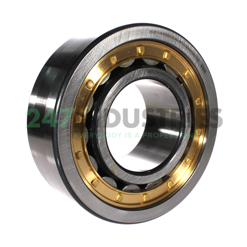 NJ2322-E-XL-M1A-QP51-C3 FAG