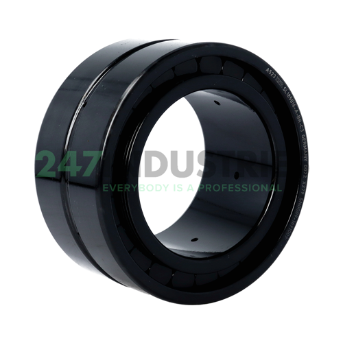 SL185016-A-BR-C3 INA