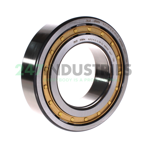 NUP2219-E-XL-M1-C3 FAG