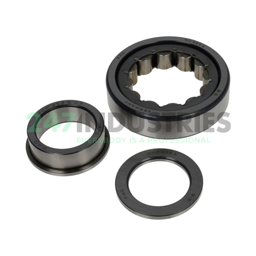 NUP308E.JP1.C3 FAG Image 2