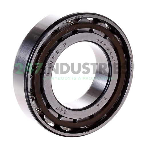 N209ECP SKF