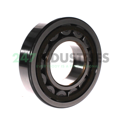 NJ315ECP/C3 SKF Image 2