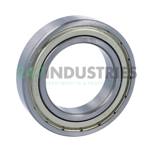 6009ZZ Neutral Image 2