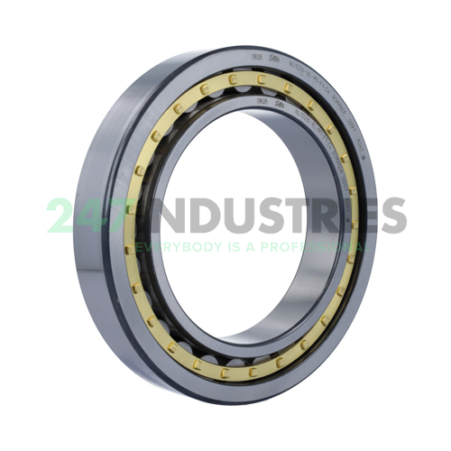 NU1026-XL-M1-F1-C4 FAG