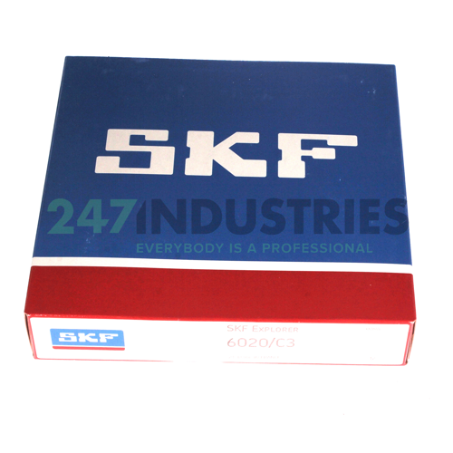 6020/C3 SKF Image 3