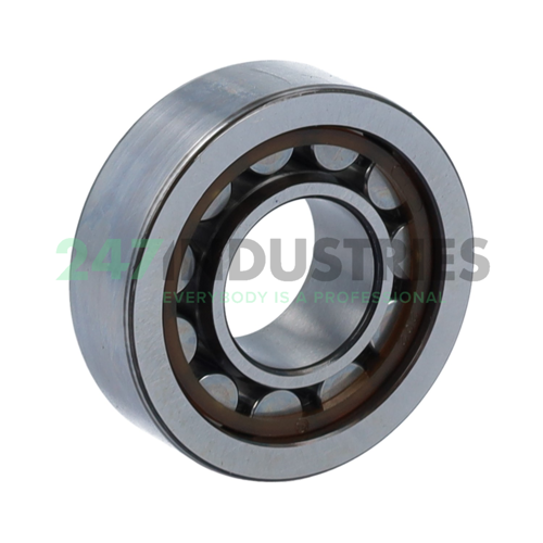 NU202ECP SKF Image 2