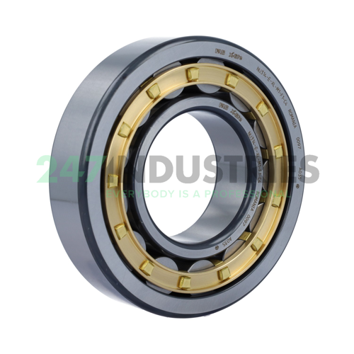 NU314-E-XL-M1-F1-C4 FAG