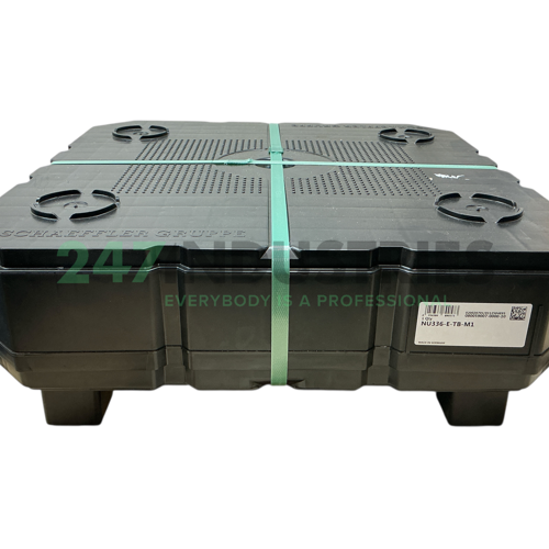 NU336-E-TB-M1 FAG Image 2