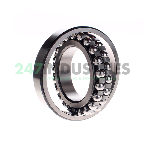 217 SKF Image 2