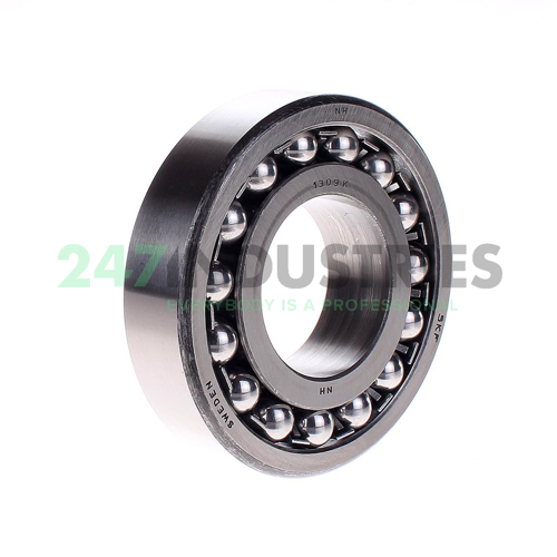 1309K SKF
