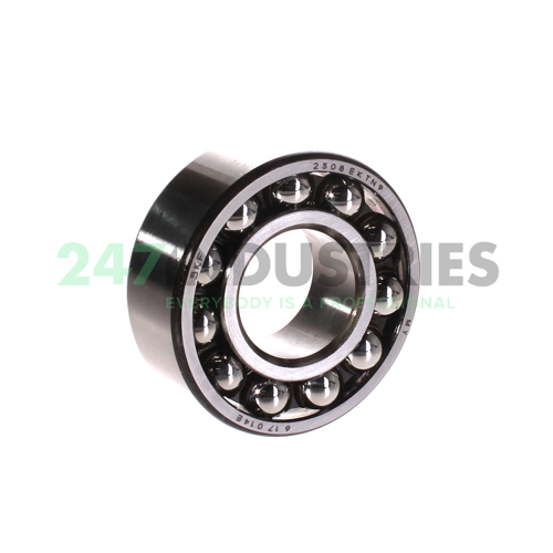 2308EKTN9 SKF