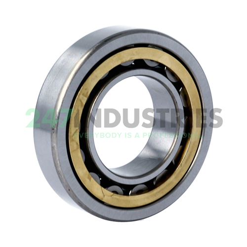 NU208EMKC3 NSK Image 2