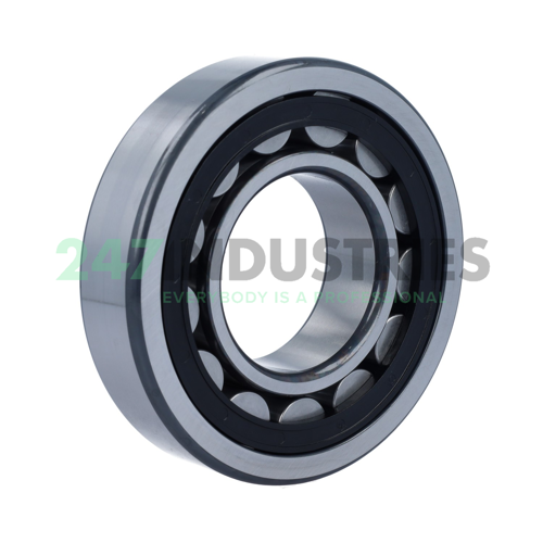 NU313-E-XL-TVP2-C4 FAG Image 2