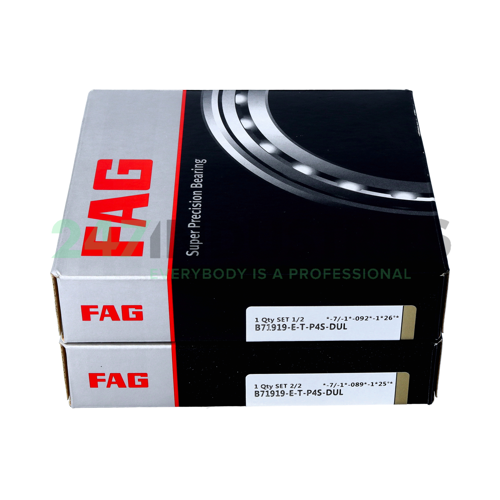 B71919-E-T-P4S-DUL FAG