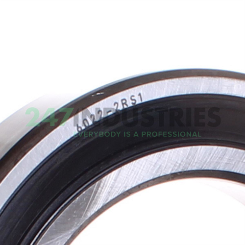 6022-2RS1 SKF Image 2
