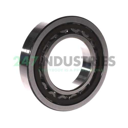 NU213ETC3 NSK Image 3