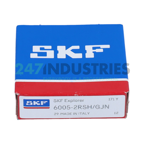 6005-2RSH/GJN SKF Image 3