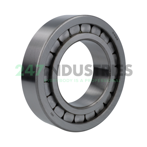 SL18-2216 NBS