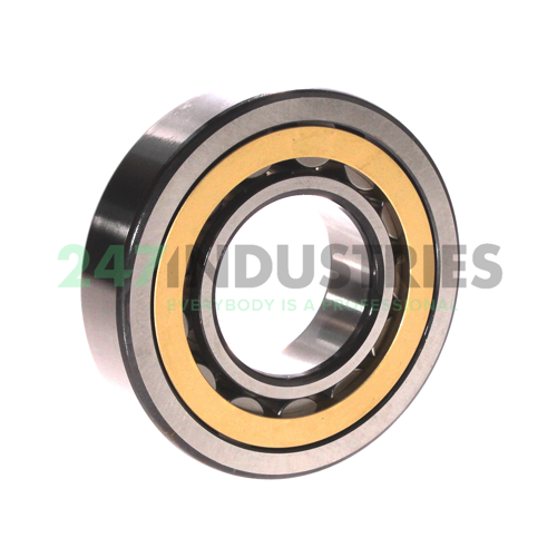 NU310ECM SKF Image 2