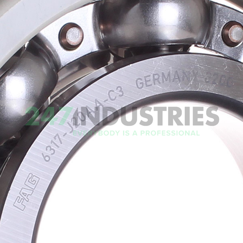 6317-J20AA-C3 FAG Image 2