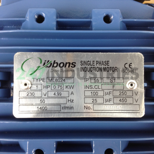 ML8024B34 Gibbons Image 2