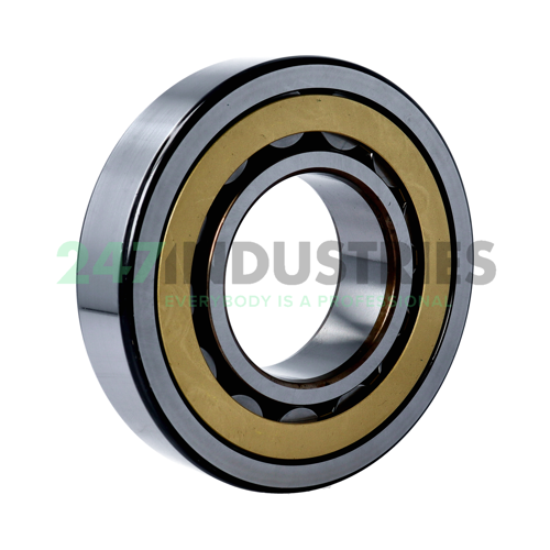 NJ315ECM/C4VA301 SKF Image 2