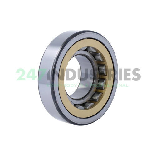 NJ313ECM SKF Image 3