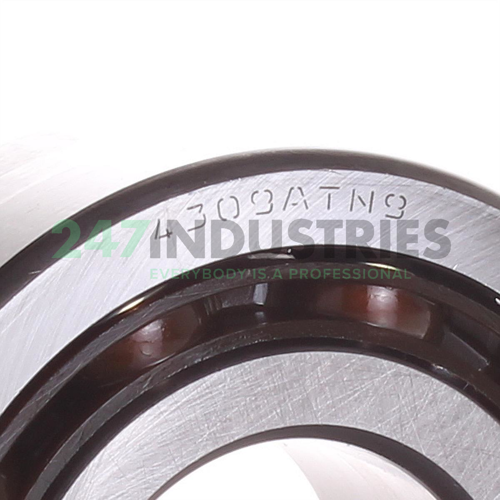4309ATN9 SKF Image 2