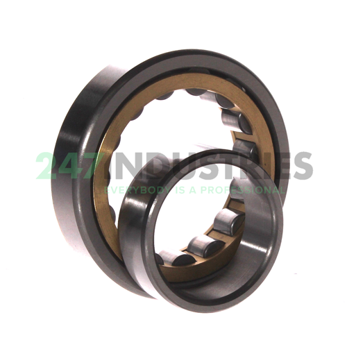 NU209EM C3 FBJ Image 3