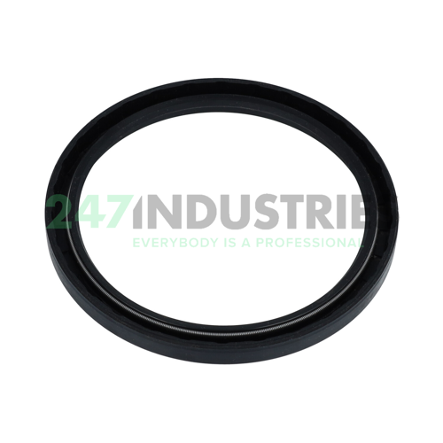 SC100X120X10 NAK Sealing Technologies Image 2