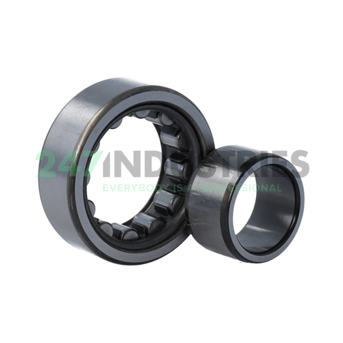 NU2205W C3 NSK Image 3