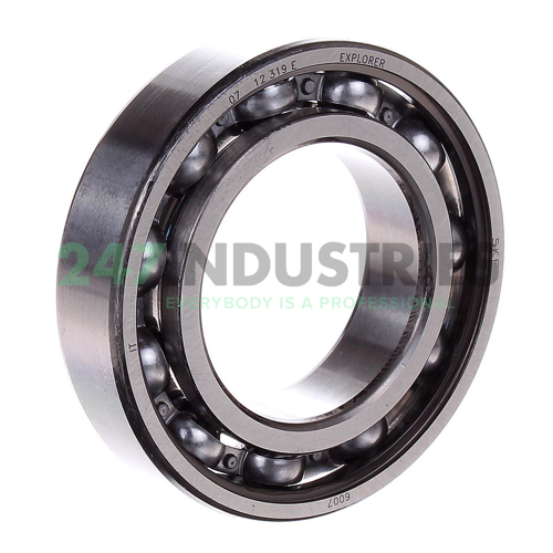 6007 SKF