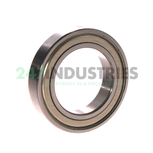 6010ZZCM NSK Image 2