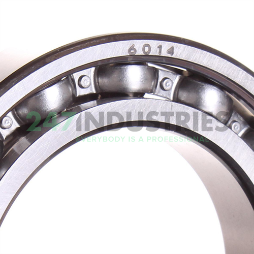 6014 SKF Image 2
