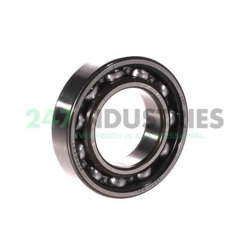 6006-RS1 SKF