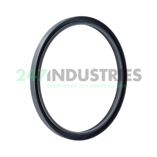 220X250X15HMSA10RG SKF Image 2