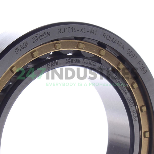 NU1014-XL-M1 FAG Image 2