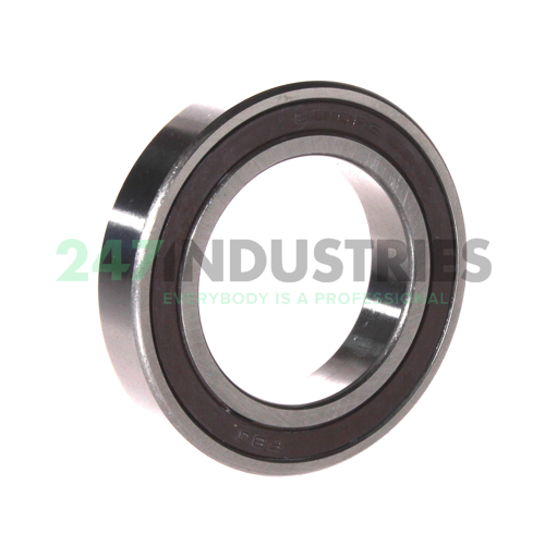 6010 2RS C3 FBJ Image 2