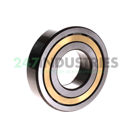 NUP309-E-M1 FAG Image 2