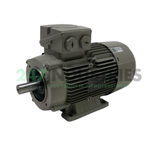 1LE1004-1AB42-2NA4 Siemens Image 2