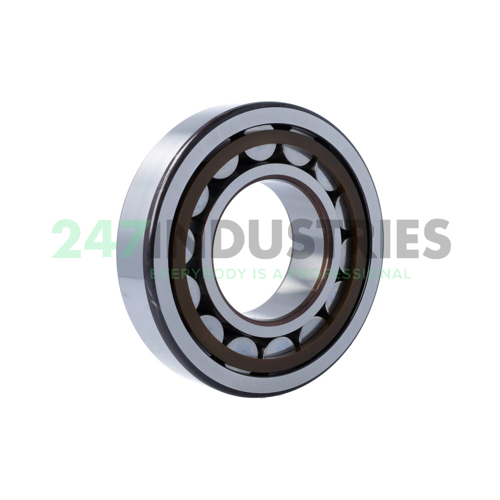 NJ317ECP SKF Image 2