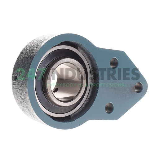 UCFK208 Asahi Image 2