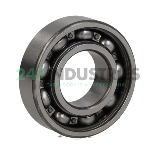 6004DUCM NSK Image 2