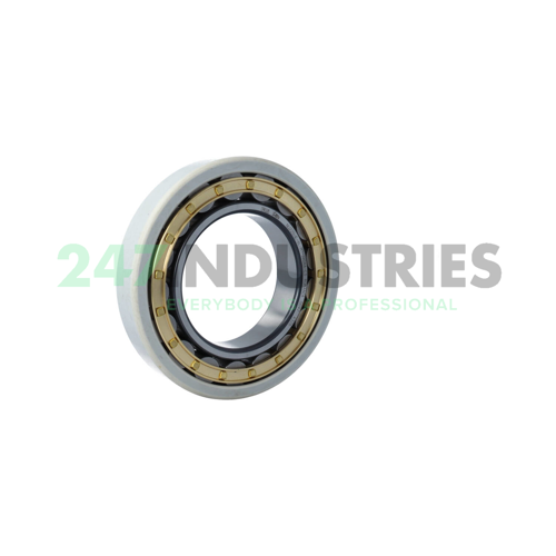 NU220-E-XL-M1-J20AA-C3 FAG