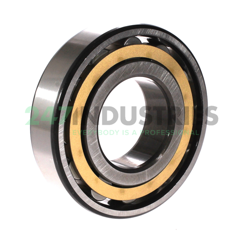 N312M/P63 SKF Image 2