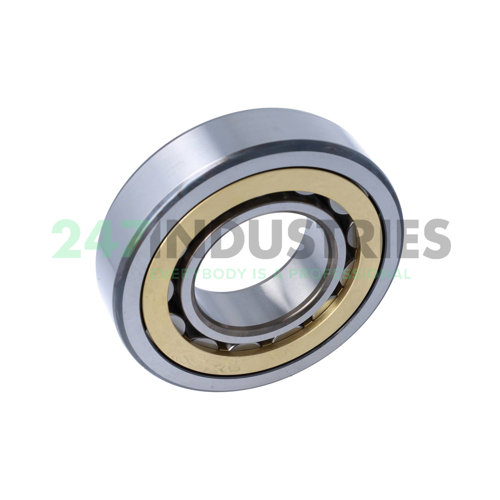 NU313ECM SKF Image 3