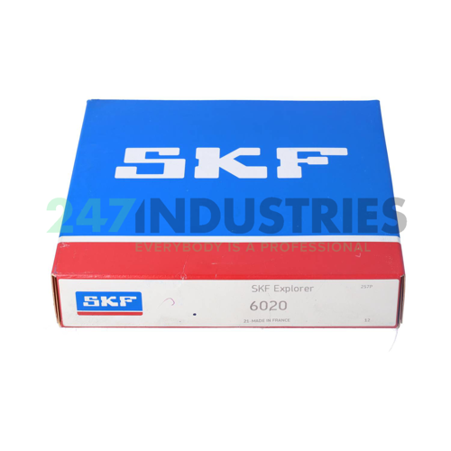6020 SKF Image 3
