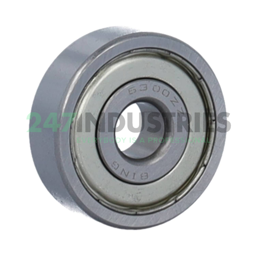 6300ZZ Bing Netherlands