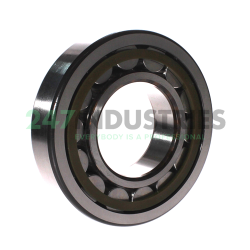 NU317ECP SKF Image 3