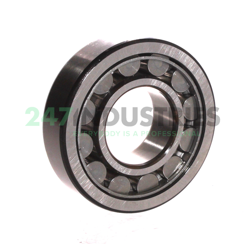 NU307ECJ/C3 SKF Image 2